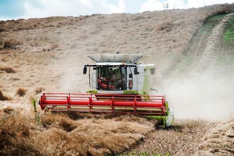 Reaper Binder Guide With Agricultural Machinery Insights